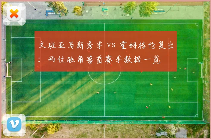 文班亚马新秀季 vs 霍姆格伦复出：两位独角兽首赛季数据一览