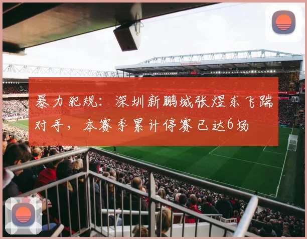 暴力犯规：深圳新鹏城张煜东飞踹对手，本赛季累计停赛已达6场